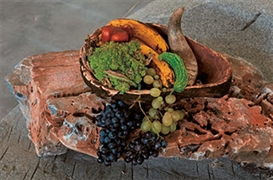 Adrián Villar Rojas at Kunsthaus Bregenz